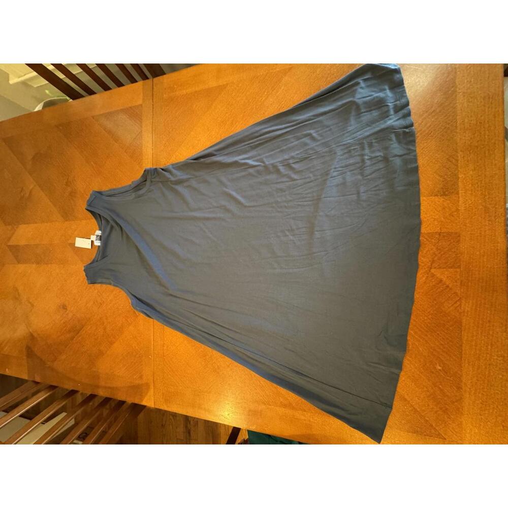 Women's Sleeveless Blue Dress the Loft size Large
